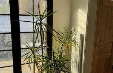 Ferienwohnung Odenwald Fernblick - Foto 15