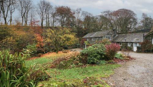 Low Jock Scar - Photo 3