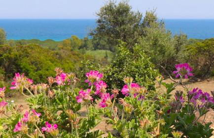 Country villa Sant' Elène - Appartamento Olivo - Foto 9