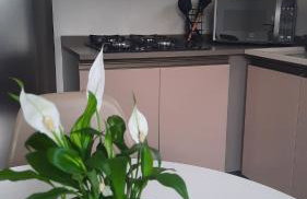 Apartamento de dois quartos centro de Pomerode - Foto 9