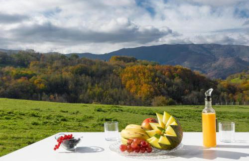 Cabañas Deluxe Basajaun Basoa by IrriSarri Land - Foto 88