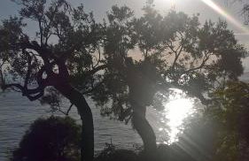 Apartments Krušvina - Foto 44