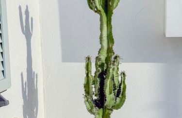 Lipsi Sands - Foto 74