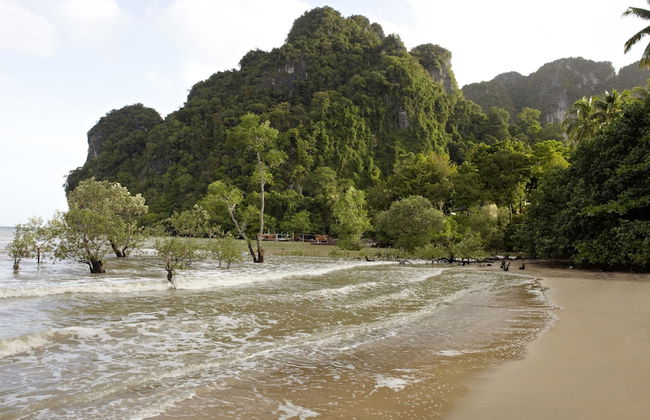 The Beach House - Foto 35