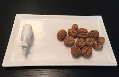 Cocoma-Design-Apartment Deluxe - very central - Foto 16