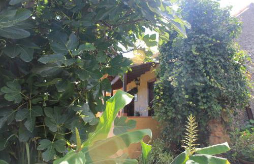 Casa Rural Las Rosas - Foto 34