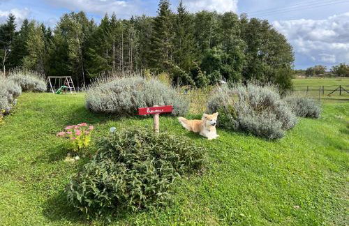 Le Hameau du Peu - Gîtes avec piscine - Foto 50