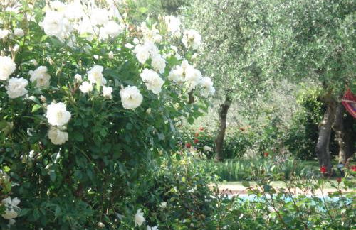 Villa Antica Sosta Renai - Foto 27