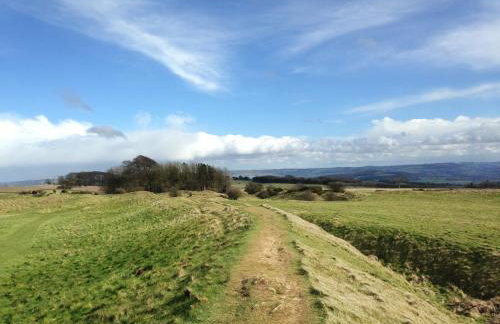 The Cotswold Holiday Lodge - Foto 33