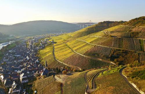 Bernkasteler Moselpanorama - Foto 23