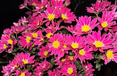 Los Tres Hórreos - Foto 30