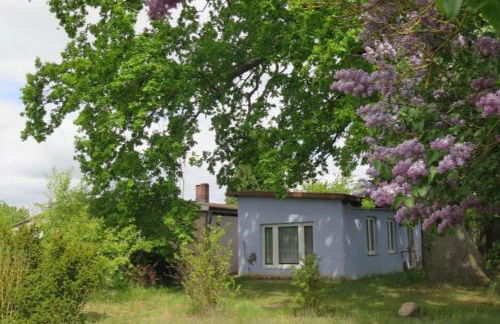 Appartement Retzow - Foto 9