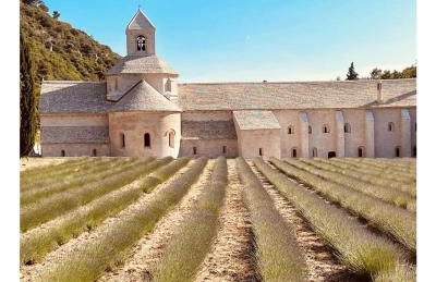 Villa du Chêne Vert Tout confort Option jacuzzi - Foto 36