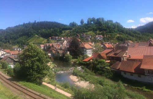 Urlaub mit Blick auf Schiltachs Fachwerkhäuser - Foto 20
