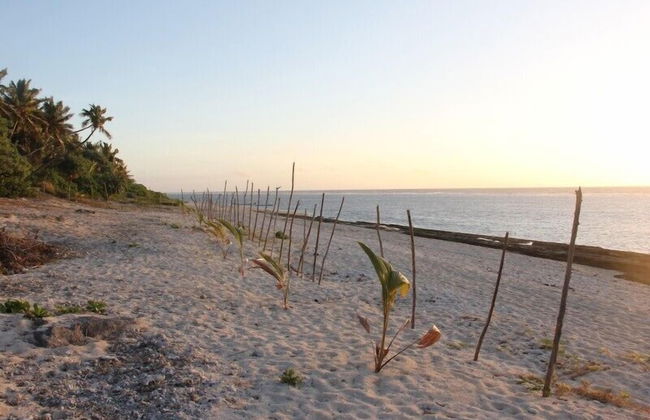 Teukava Beach Oasis - Foto 22