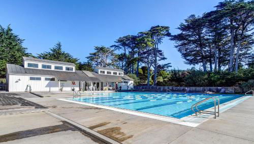 Wild Meadow - Foto 3