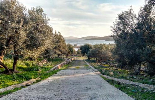 ''Koukmos beach'' Greenspace Living - Private sandy beach - Foto 49