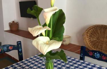 Casas de Romaria de Brotas - Foto 115