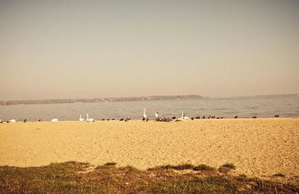 Masuria Warsaw - dom na wyłączność - w lesie i przy rzece - 15 min od Warszawy - Foto 70