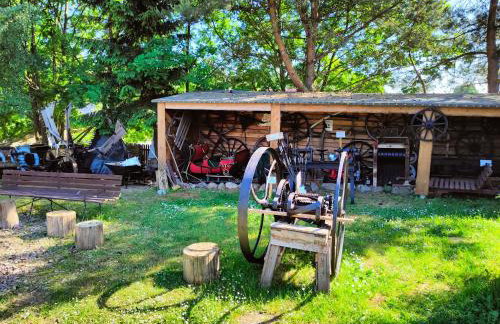 Agroturystyka Zagroda Alpaka - Foto 62