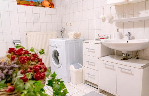 Ferienwohnung am Ilztal - Foto 20