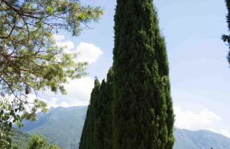 Agritur Casteller - Photo 36