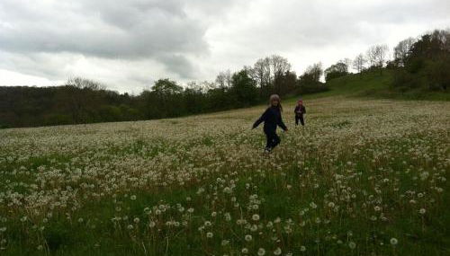 Ferienwohnung Walkershofen - Foto 5