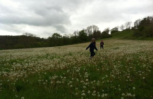 Ferienwohnung Walkershofen - Foto 5