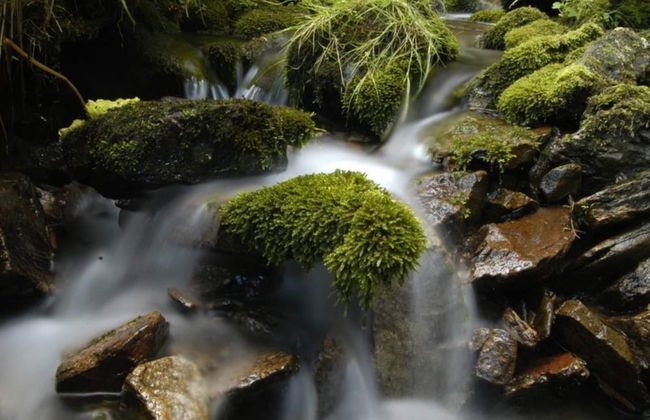Peaceful Villa in the Hills of Jachymov Near Spas - Photo 38