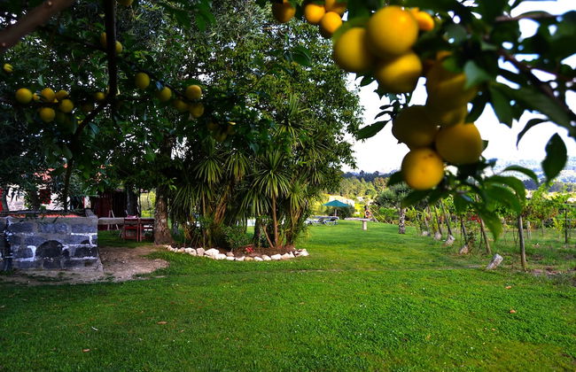 Quinta do Olival - Photo 46