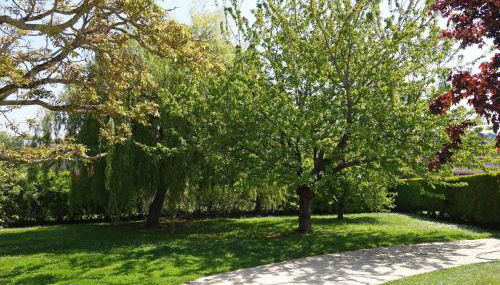 Holiday Home La Rodière by Interhome - Foto 4