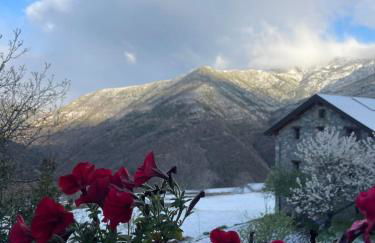 Acogedor apartamento a las puertas de Ordesa - Foto 15