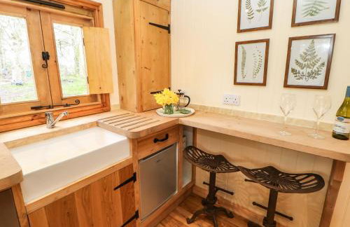 Bracken Fern - Photo 10