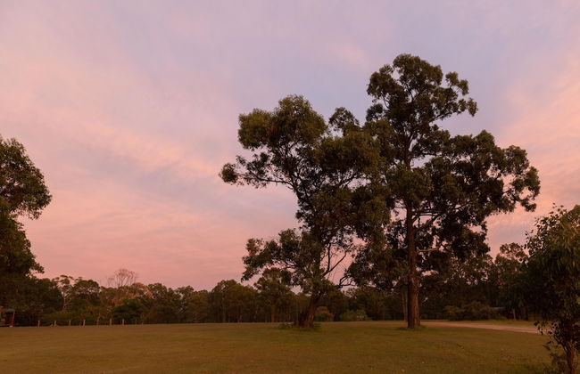 Hunter Hideaway Cottages - Foto 26