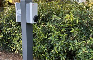 Agriturismo Tenuta Conti Faina - Foto 42