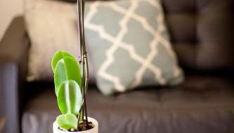 Authentic Charming Apartment/Wifi/Air Conditioning - Foto 4