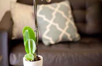 Authentic Charming Apartment/Wifi/Air Conditioning - Photo 4