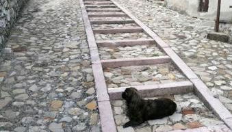 Il Rustico di Meggiano - Foto 5