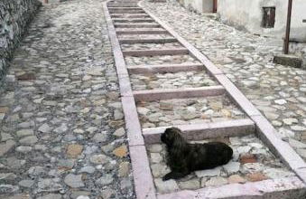 Il Rustico di Meggiano - Photo 5