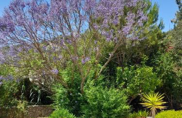 Lemon Tree Cottage - Foto 24