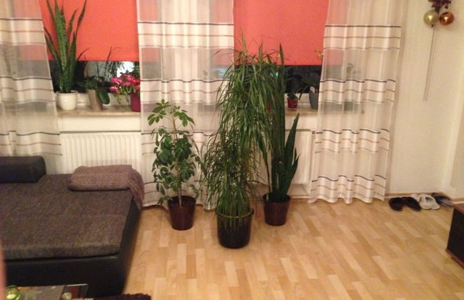 BS Business Travelling - Foto 35