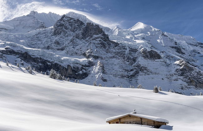 Haus Bel Air - Foto 59