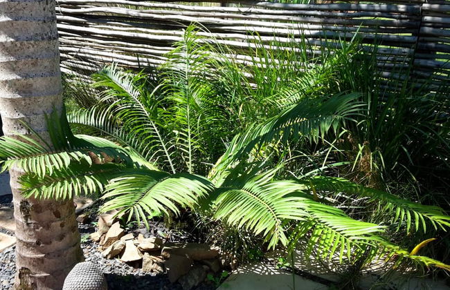 Villa La Mercy Guest Suite - Foto 22