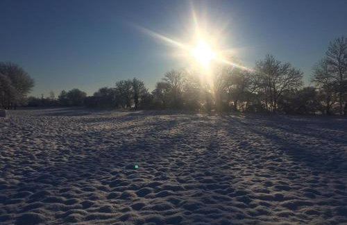 Ferienwohnung Alte Schmiede mit Gutspark - Foto 9
