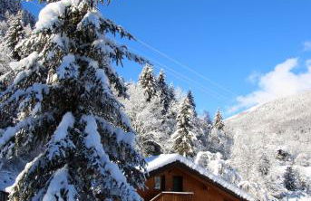 Chalet Presanella - Foto 1