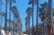 Appartement Marseillan Plage - Foto 25