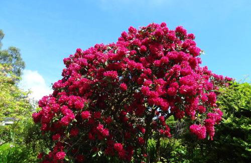 Coach House at The Glen - Foto 22