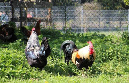 Döllelhof Erding - Foto 36