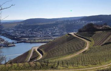 Fichtennest - Foto 17