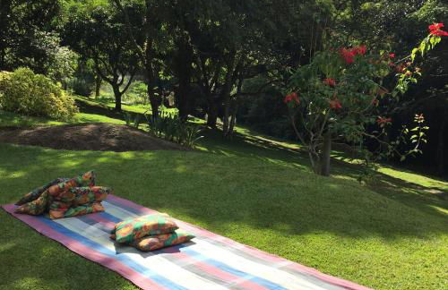 Reserva Atibaia / Casa de Montanha - Photo 31